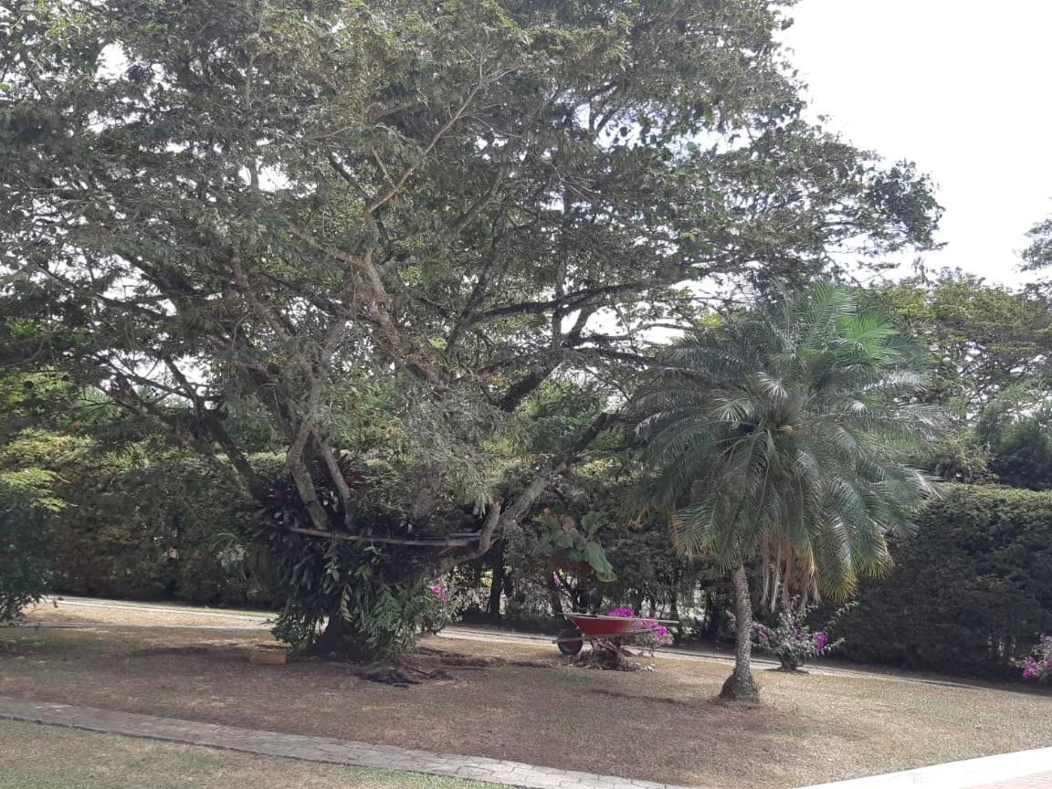 Finca Paraiso Calima Exteriér fotografie