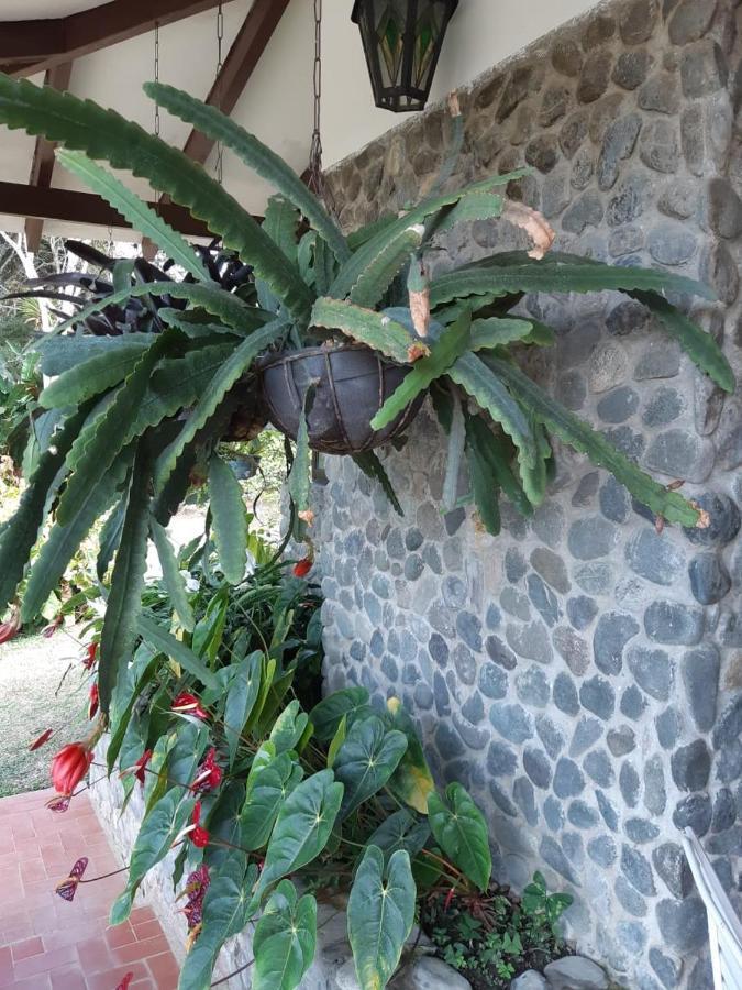 Finca Paraiso Calima Exteriér fotografie